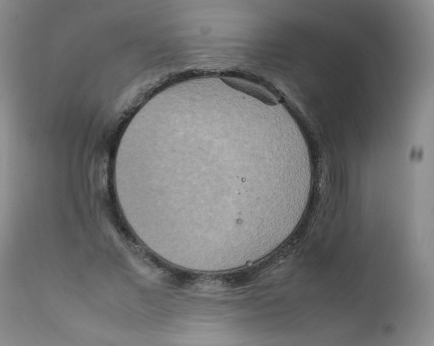 X0000111900685200908241003