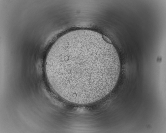 X0000111900688200908241003