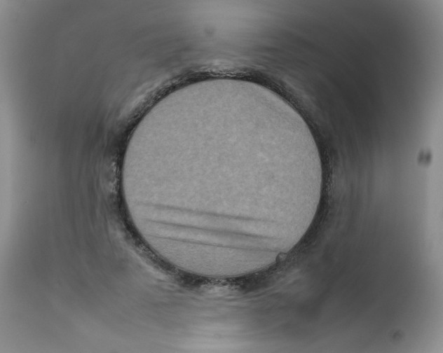 X0000111900689200908241003