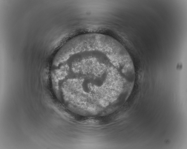 X0000111900691200908241003