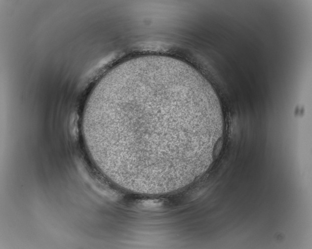 X0000111900692200908241003