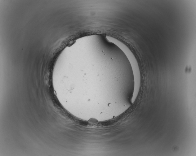 X0000111900693200908241003