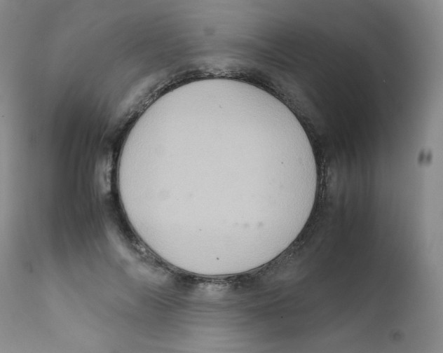 X0000111900694200908241003