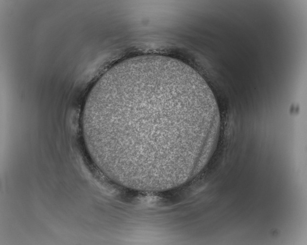 X0000111900695200908241003