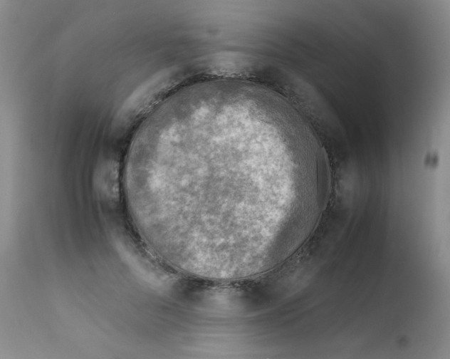 X0000111900696200908241003