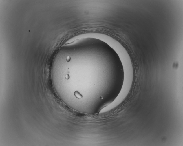 X0000111900697200908241003