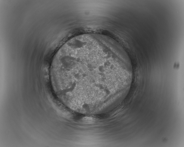 X0000111900699200908241002