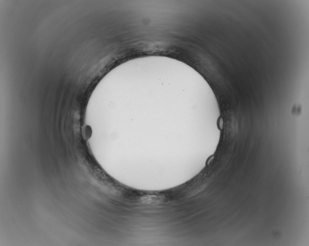 X0000111900700200908241002