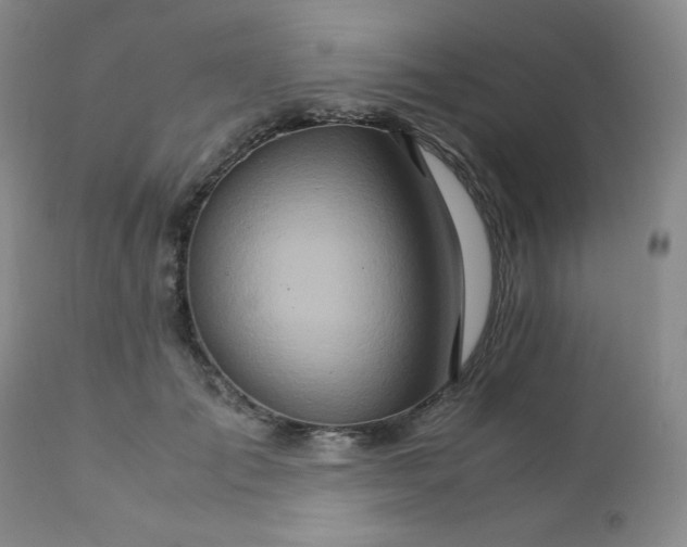 X0000111900701200908241002