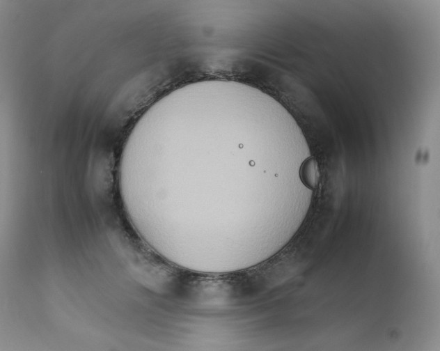 X0000111900702200908241002