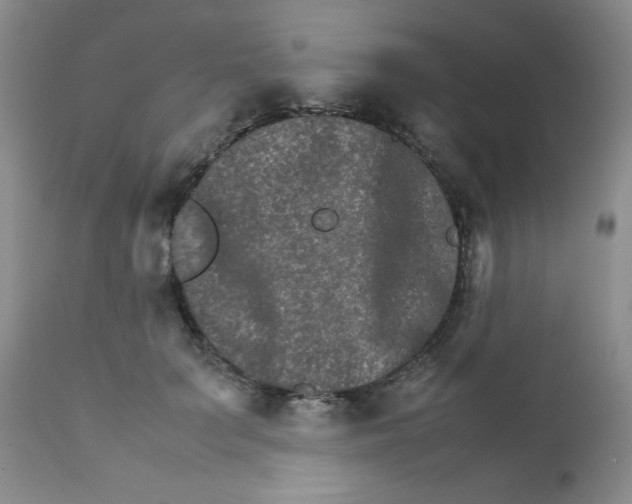 X0000111900703200908241002