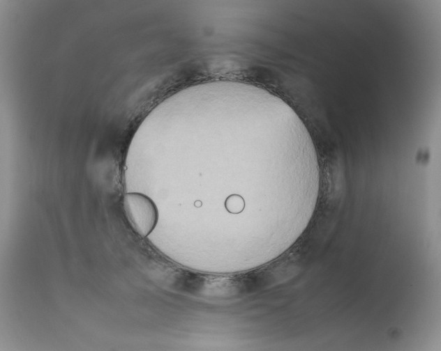 X0000111900705200908241002