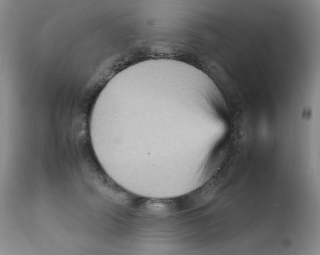 X0000111900706200908241002