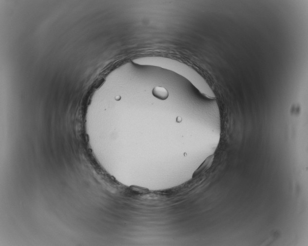 X0000111900708200908241002