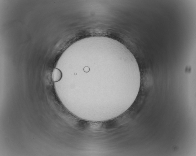 X0000111900709200908241002