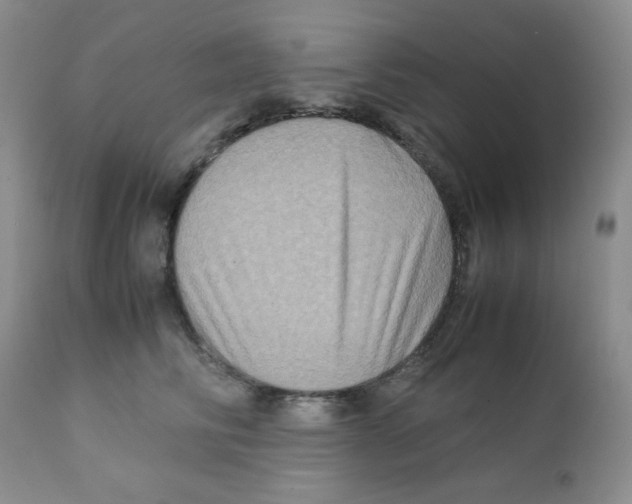 X0000111900710200908241002