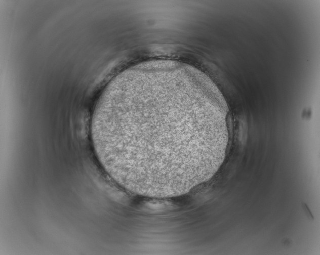 X0000111900712200908241002