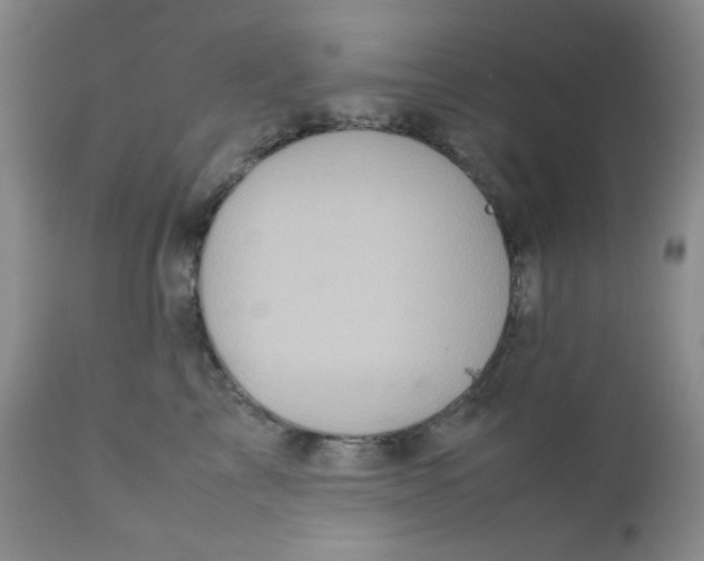 X0000111900713200908241002