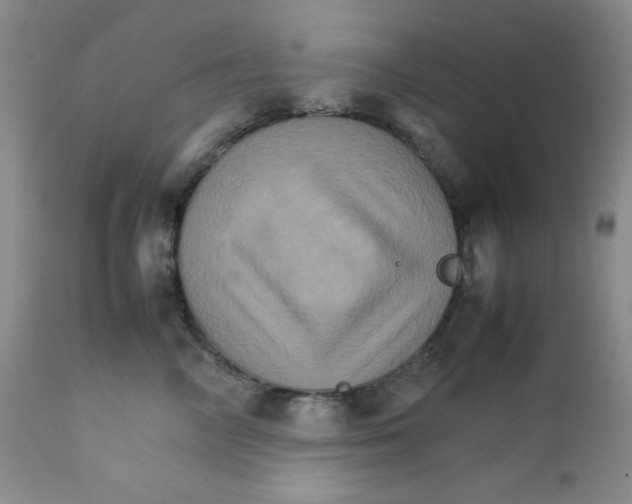 X0000111900714200908241002