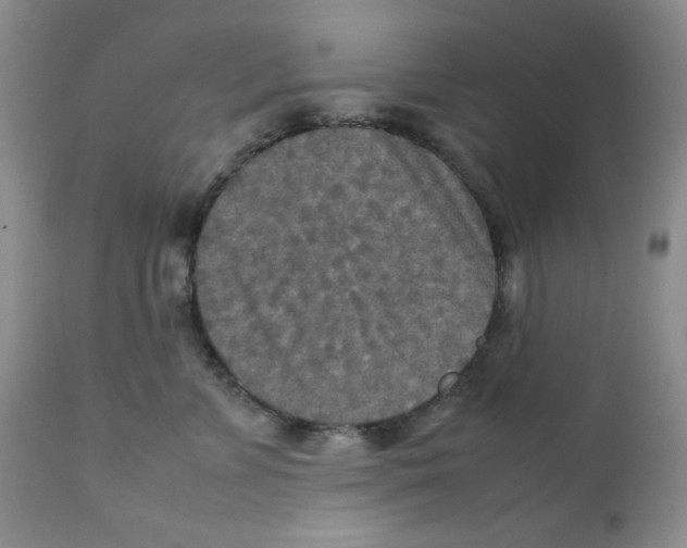 X0000111900715200908241002