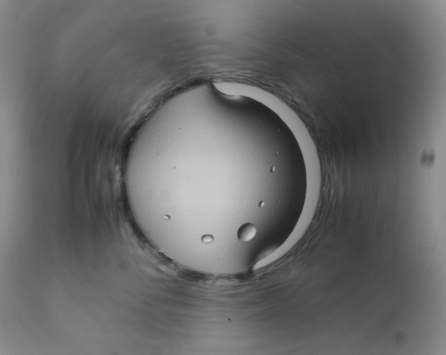 X0000111900716200908241002