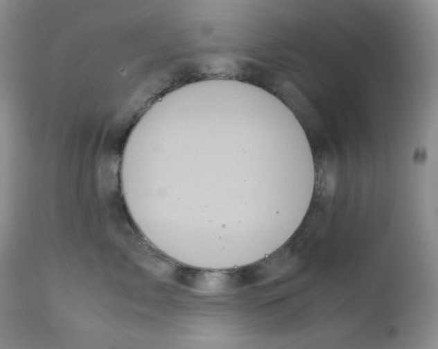 X0000111900717200908241002