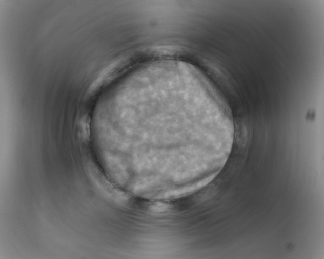 X0000111900718200908241002