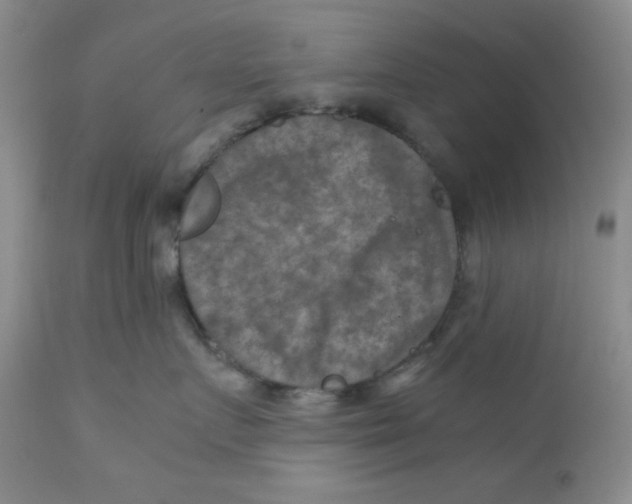 X0000111900719200908241002