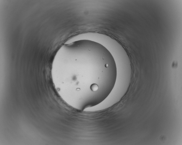 X0000111900720200908241002