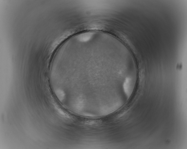 X0000111900721200908241001