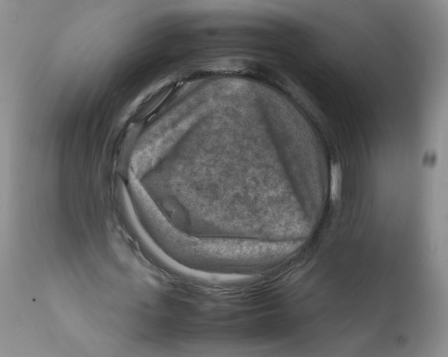 X0000111900723200908241001