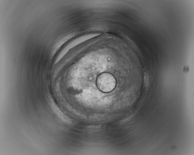 X0000111900725200908241001