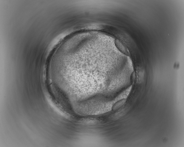 X0000111900726200908241001