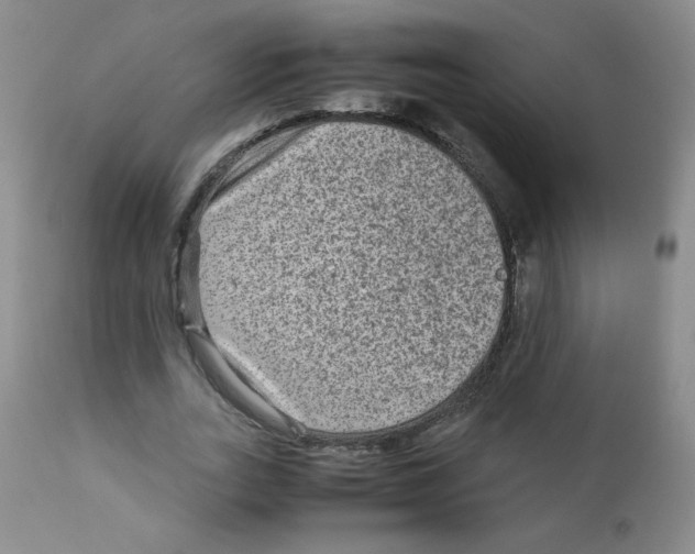 X0000111900727200908241001