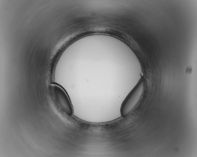 X0000111900728200908241001