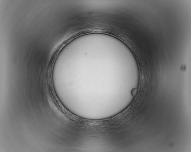 X0000111900730200908241001