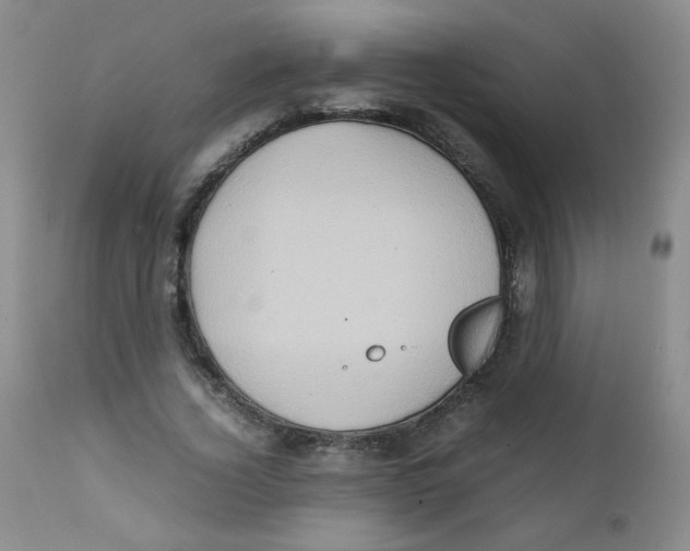 X0000111900732200908241001