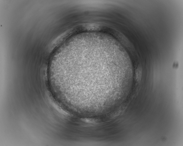 X0000111900733200908241001
