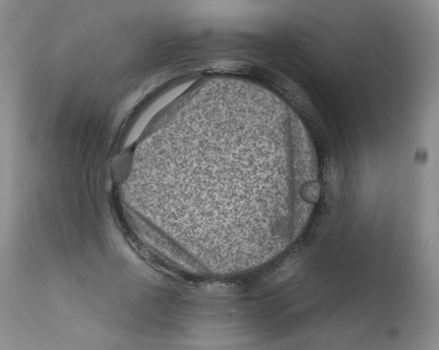 X0000111900734200908241002