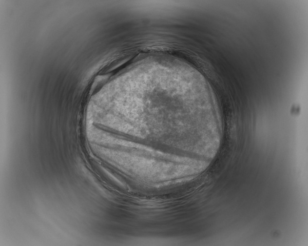 X0000111900735200908241002