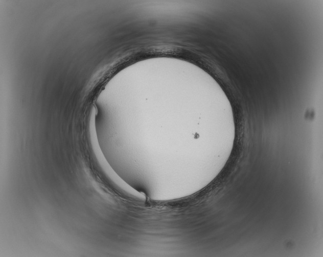 X0000111900736200908241002