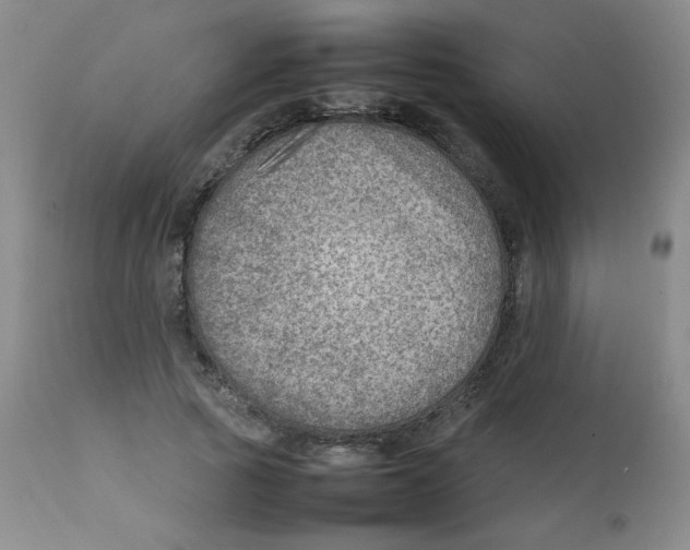 X0000111900737200908241002