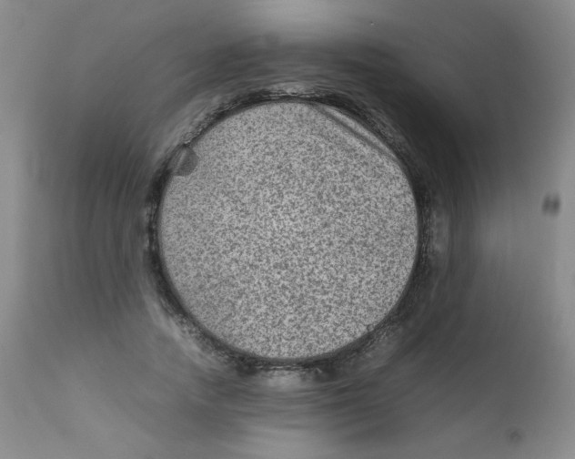 X0000111900738200908241002