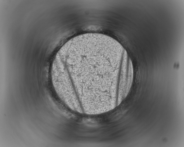 X0000111900739200908241002