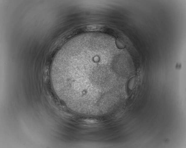 X0000111900741200908241002