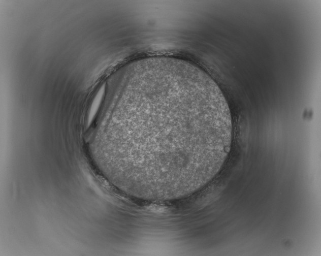 X0000111900742200908241002