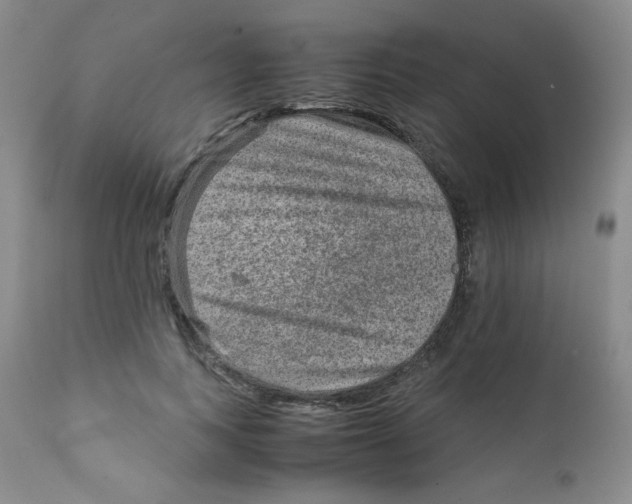 X0000111900743200908241002