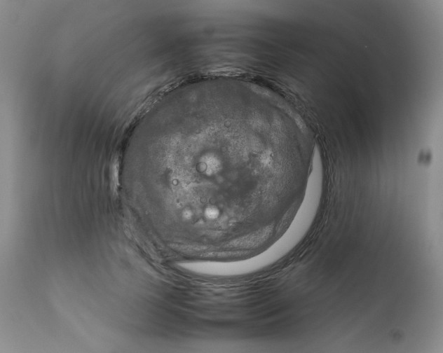 X0000111900745200908241002