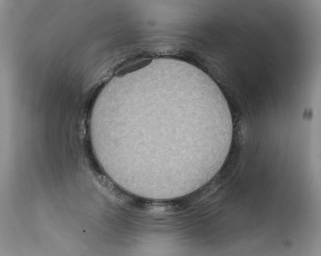 X0000111900746200908241002