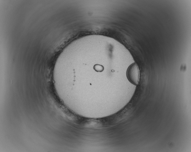 X0000111900750200908241002